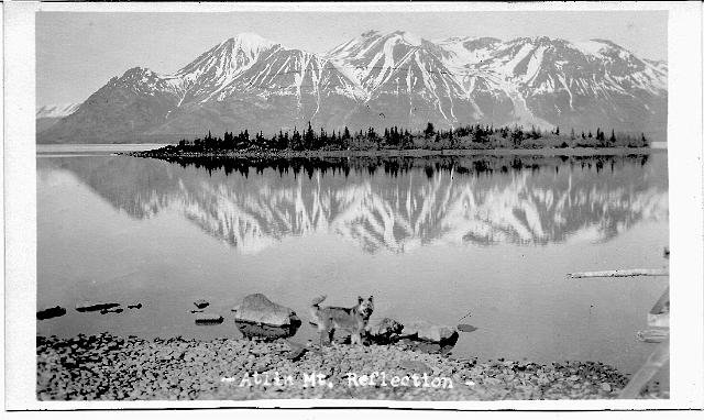 ak73.jpg
